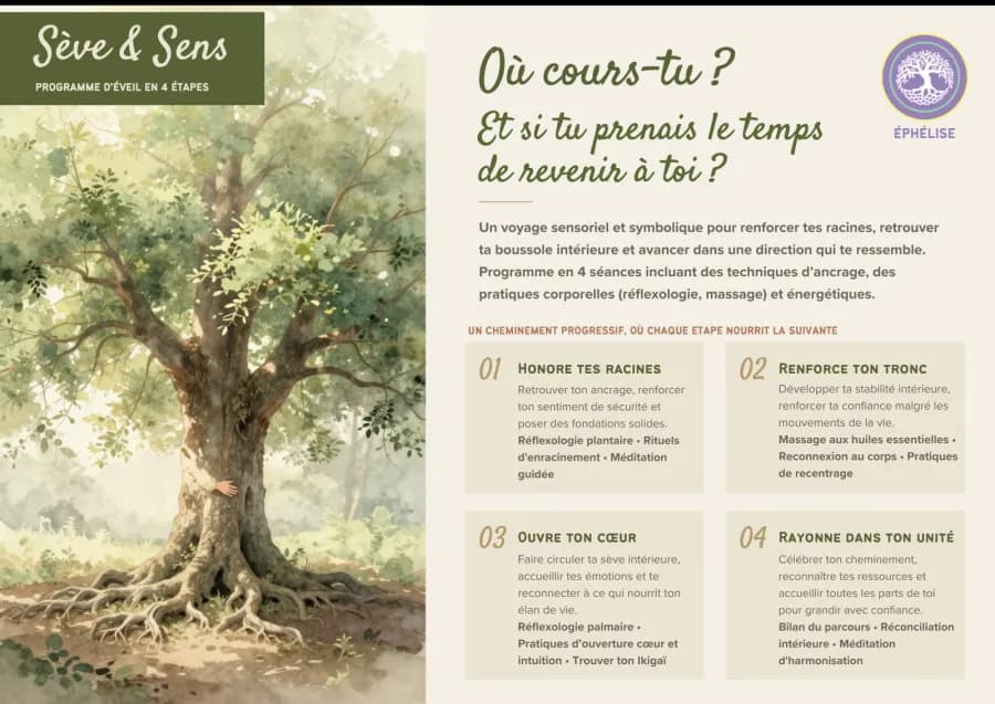Aperçu de la plaquette du programme Sève & Sens : les 4 étapes du parcours